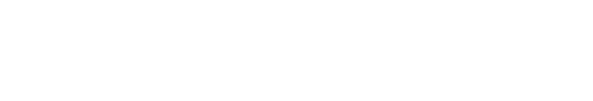 Logotyp för Flowity, AI-baserad bildanalys för säkrare vägar.